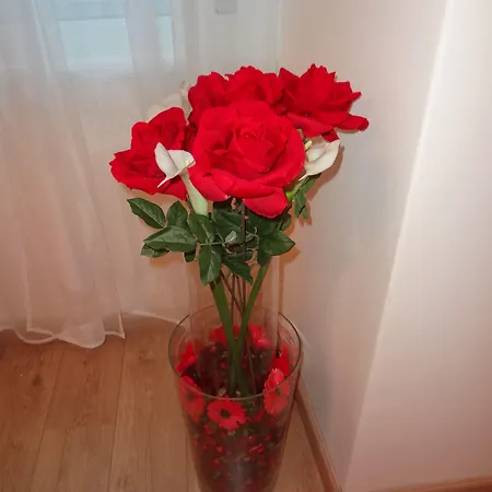 Pensionat Boutique Carducci Trieste