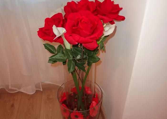 Penzion Boutique Carducci Terst